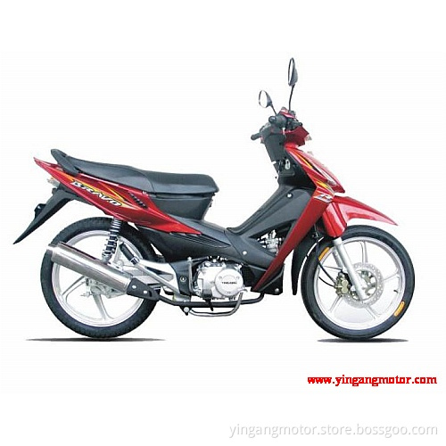 CUB (YG110-19A)